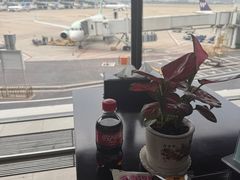 -郑州新郑国际机场-T2航站楼