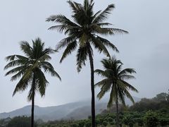 -三亚南山文化旅游区