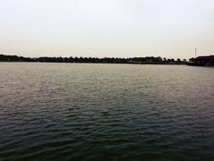 -上海都市菜园