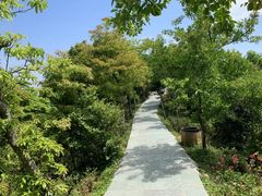 -梧桐山风景名胜区