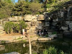 -燕郊植物园