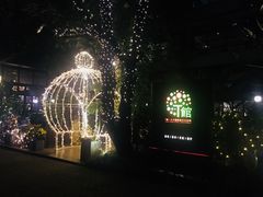 -T館·花园艺术餐厅