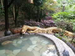 -明月山天沐温泉度假村