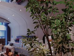 -Seesaw Coffee(上生新所店)