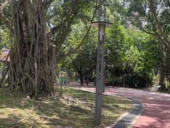 -吉隆坡国油双峰塔