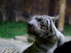 -杭州野生动物世界