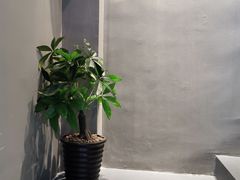 -about(丹霞庄店)