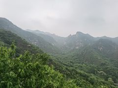 -大岭沟猕猴桃谷风景区