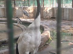 -保定市动物园
