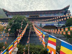 -羊楼洞