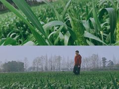 -夏河溪乡野公园