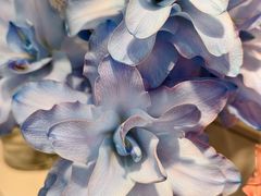 -双季花艺园艺市场(浦东店)