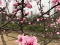 -白鹭湾湿地公园