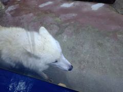 -多彩贵州城极地海洋世界