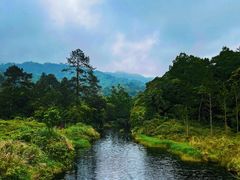-海南热带雨林国家公园吊罗山景区