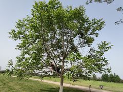 -汉长安城未央宫国家考古遗址公园