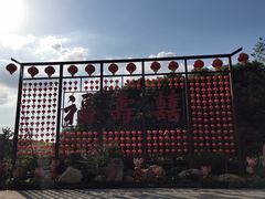 -合肥滨湖国家森林公园