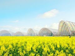 -中国天府农业博览园