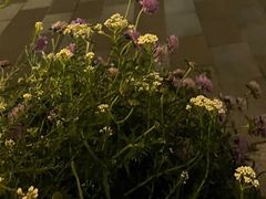-比斯特上海购物村精品奥特莱斯