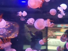 -杭州海底世界