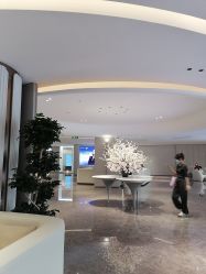 -广州美莱医疗美容医院