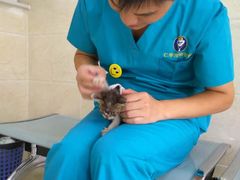 -仁华宠物医院(青羊店)