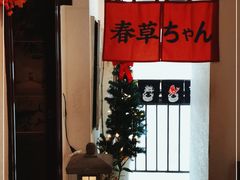 -春草居酒屋·晴子の店