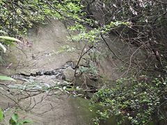-午潮山国家森林公园