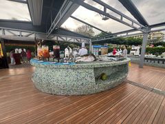 -渔家火锅·海鲜自助餐·演艺(亚龙湾天域酒店)