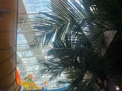 -青岛东方影都融创水世界