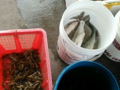 -八仔大富楼·河鲜(西江店)