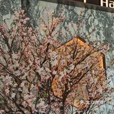 第一次来总体感觉可以！菜品摆盘还算精致，辣酒浸花螺感