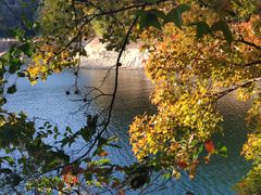 -广州市流溪河国家森林公园