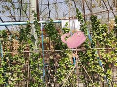 -廊坊市自然公园