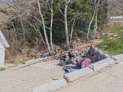 -石老人观光园