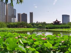 -青城公园