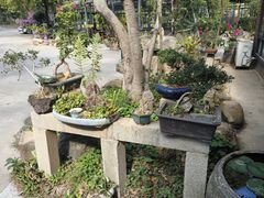 -罗浮山·罗园农庄