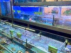 -龙溪海鲜酒家(溪涌店)