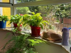 -上海三爱中医门诊部(建德坊店)