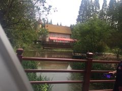 -东平国家森林公园