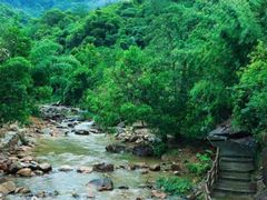 -广州白江湖森林公园