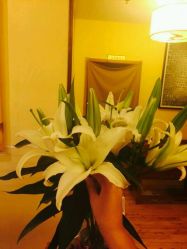 -FineYoga梵音瑜伽·普拉提