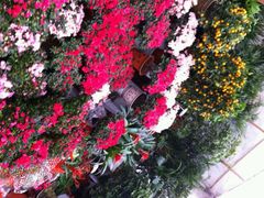 android_upload_pic-金陵花卉交易市场