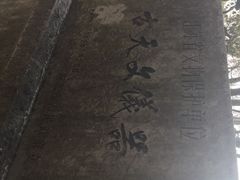 iphone_upload_pic-紫金山天文台