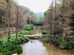 -云溪植物园
