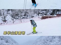 -体育场(地铁站)