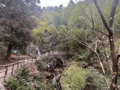 -东天目山风景区