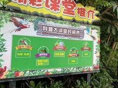 -广州长隆飞鸟乐园