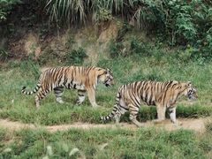 -杭州野生动物世界