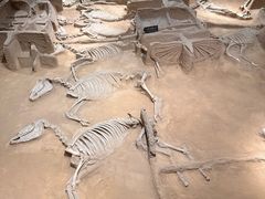 -洛阳周王城天子驾六博物馆